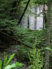 Cheile Dofteanei Cascada fara nume cascada